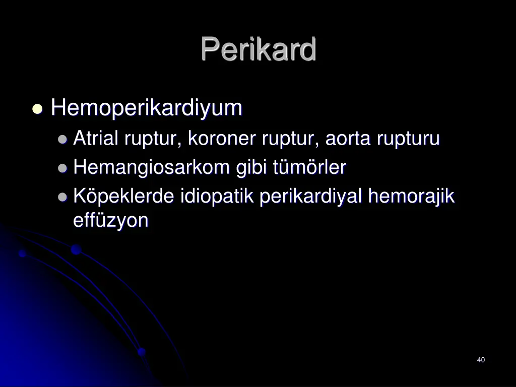 perikard 1