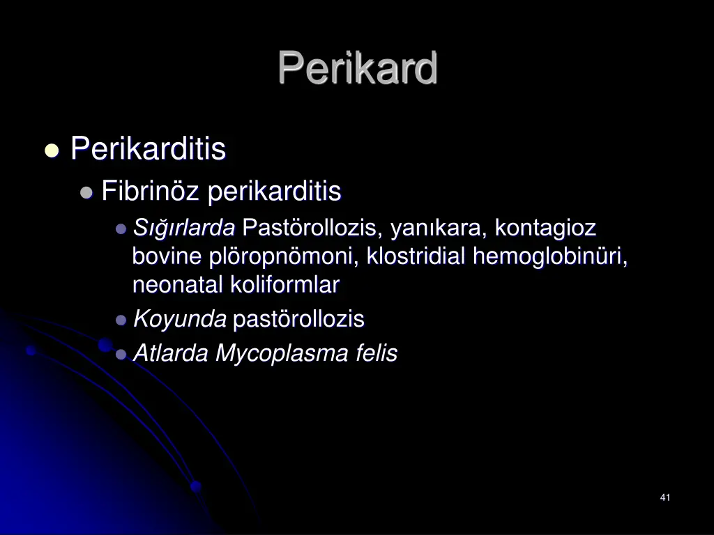 perikard 2