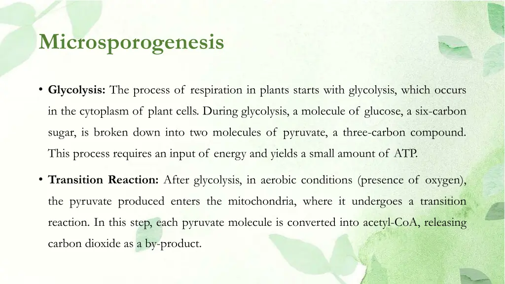 microsporogenesis