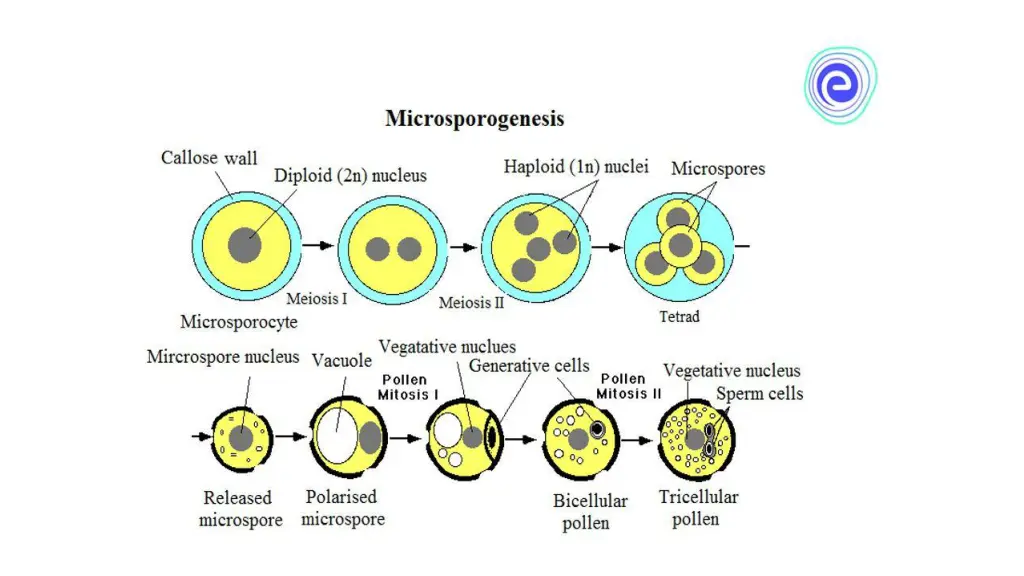 slide6