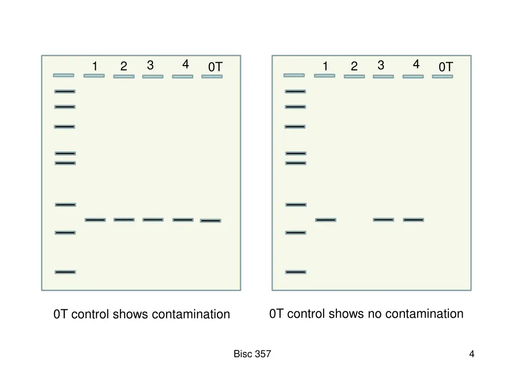 slide4