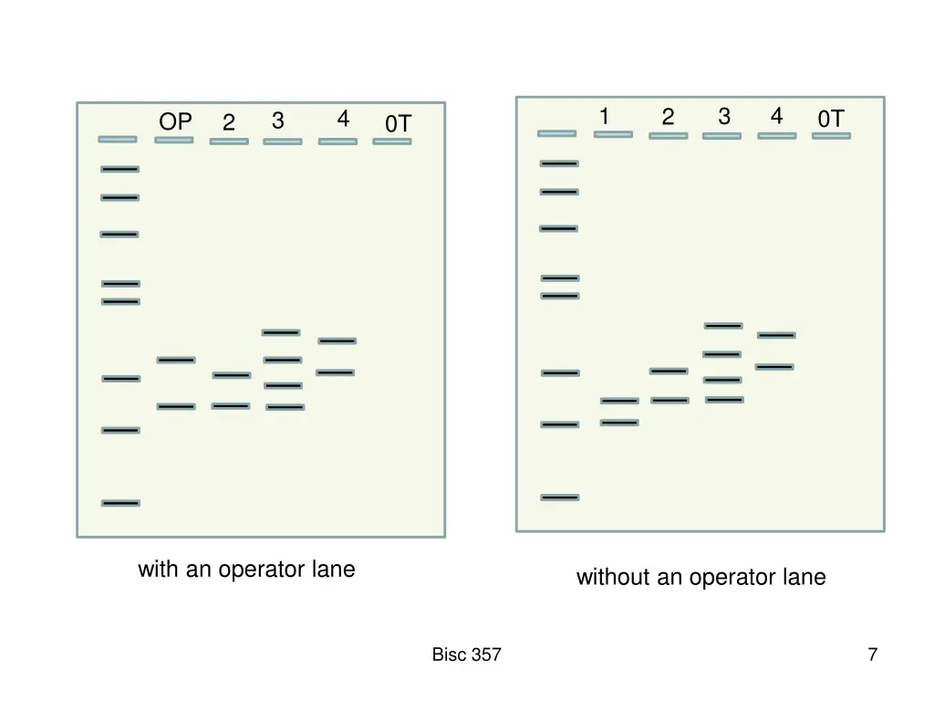 slide7
