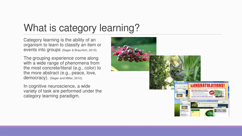 what is category learning