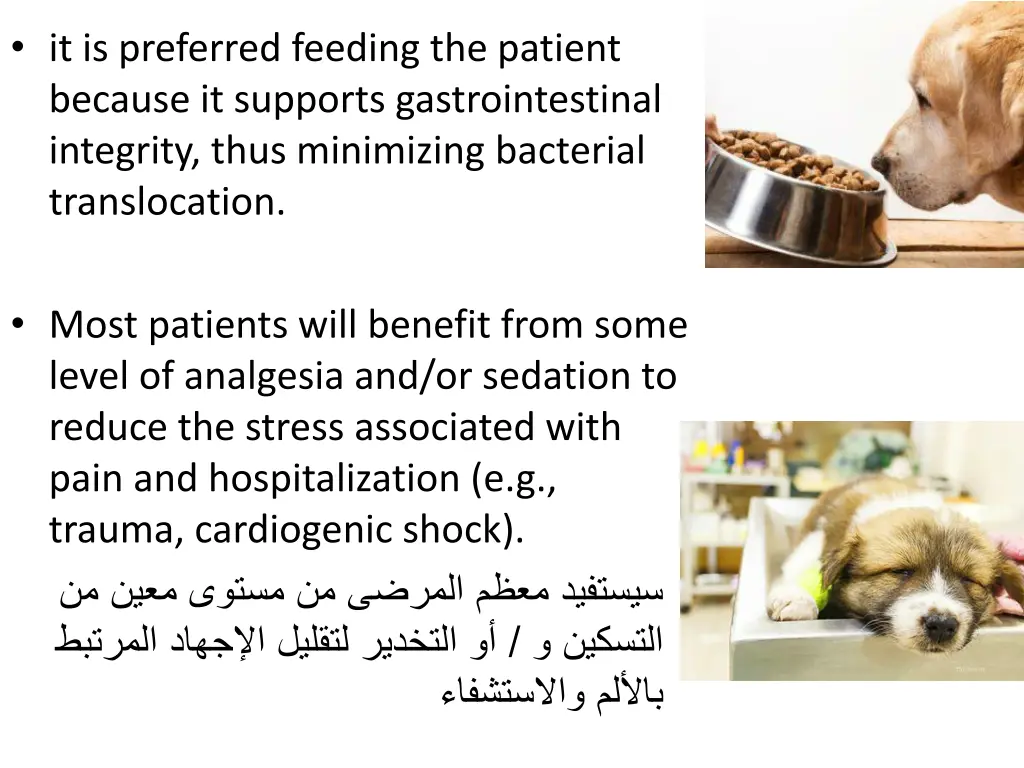 it is preferred feeding the patient because