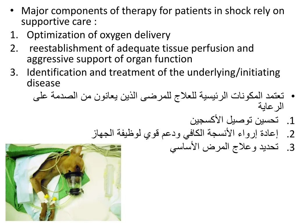 major components of therapy for patients in shock