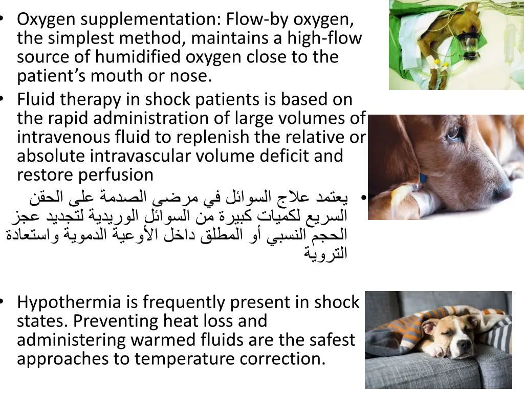 oxygen supplementation flow by oxygen