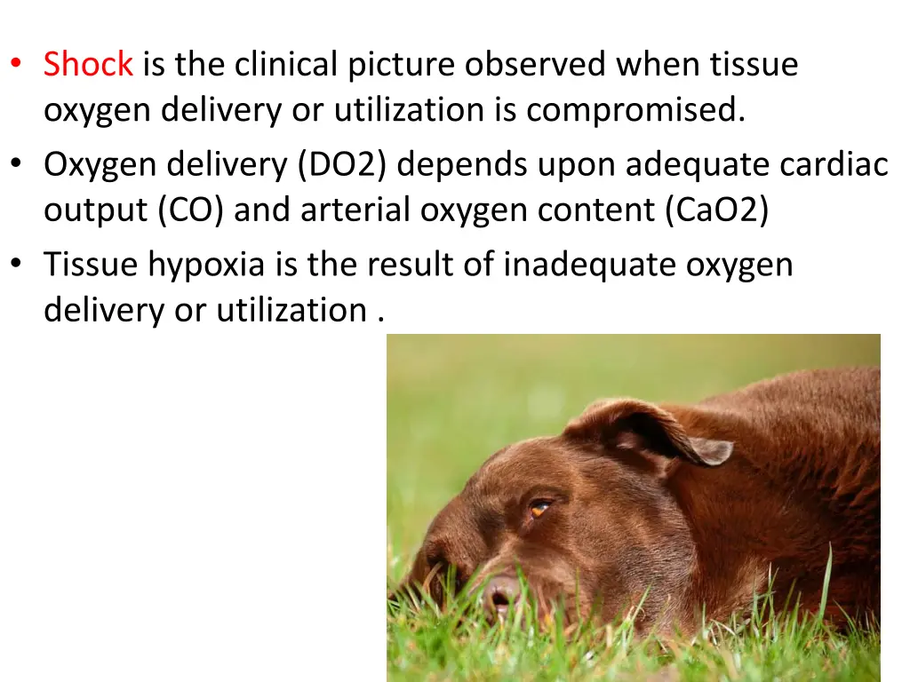 shock is the clinical picture observed when