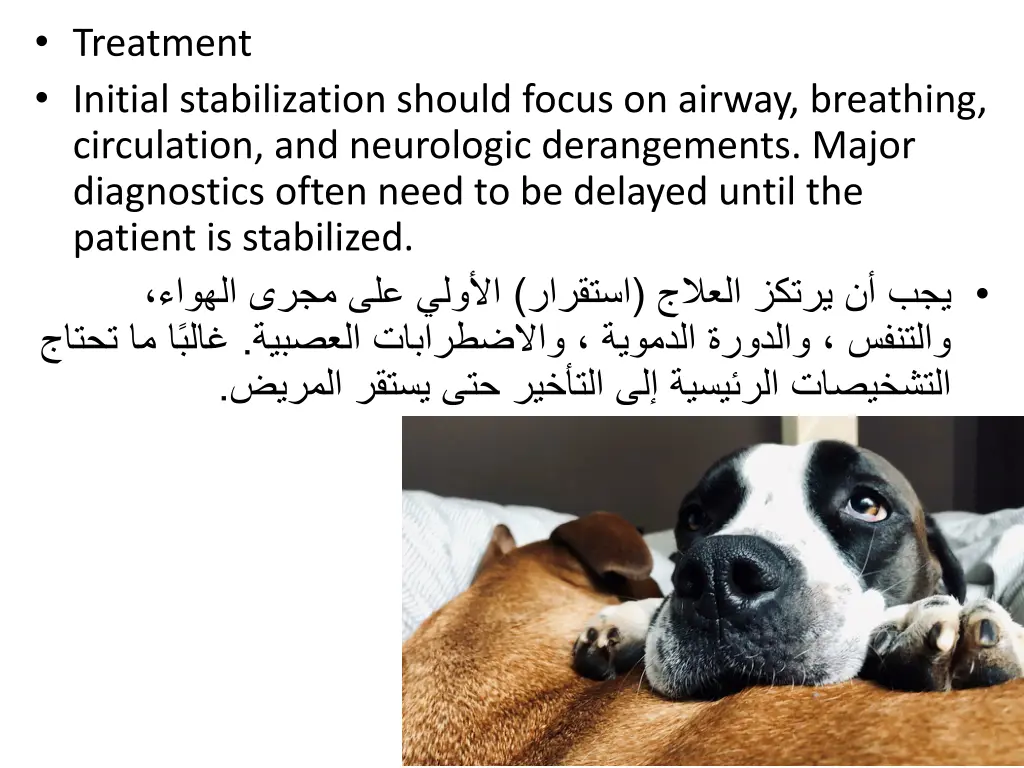 treatment initial stabilization should focus