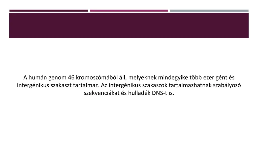 a hum n genom 46 kromosz m b l ll melyeknek