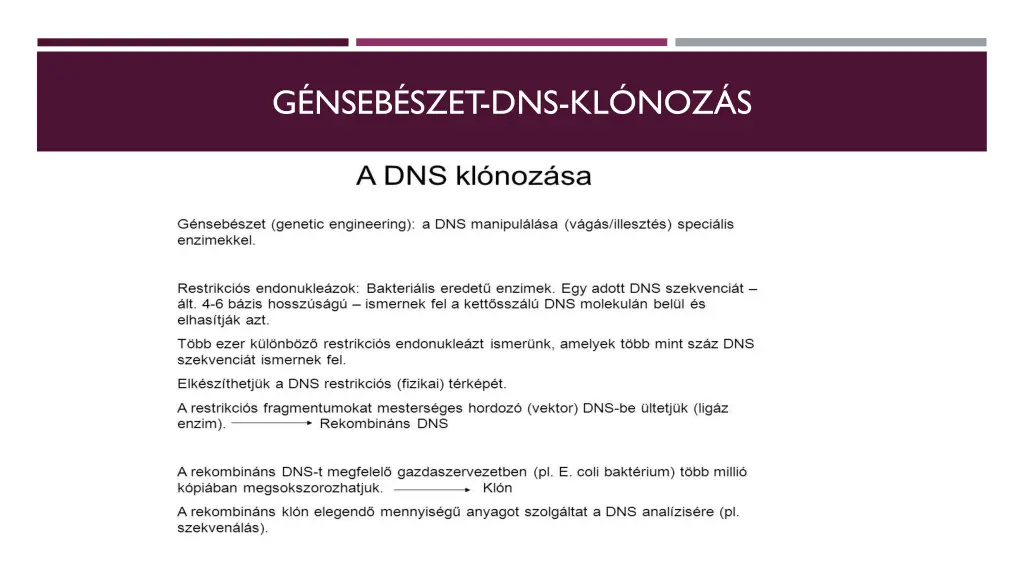 g nseb szet dns kl noz s