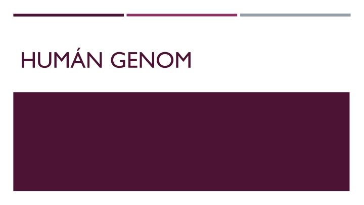 hum n genom