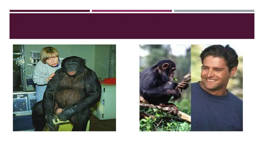 slide14