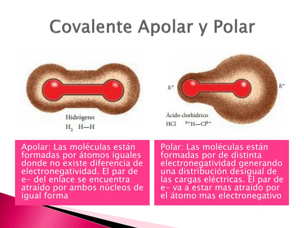 apolar las mol culas est n formadas por tomos