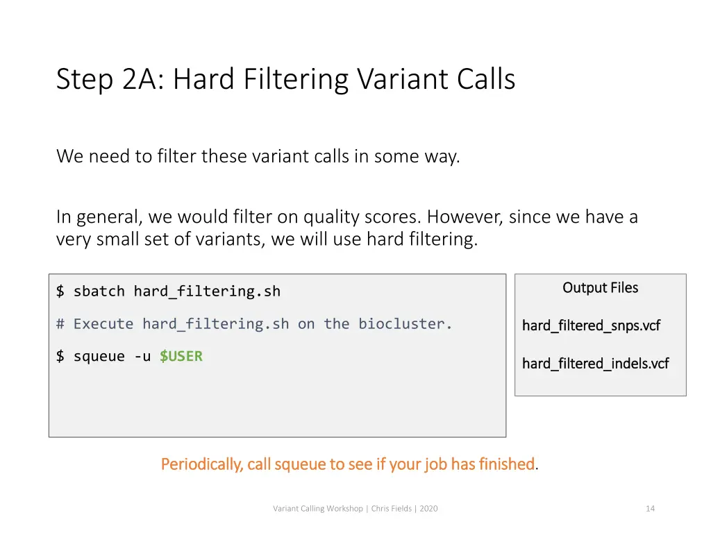 step 2a hard filtering variant calls