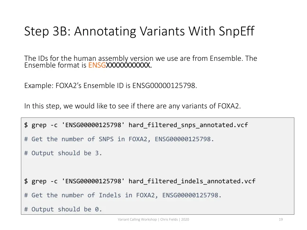 step 3b annotating variants with snpeff