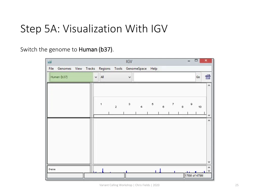 step 5a visualization with igv