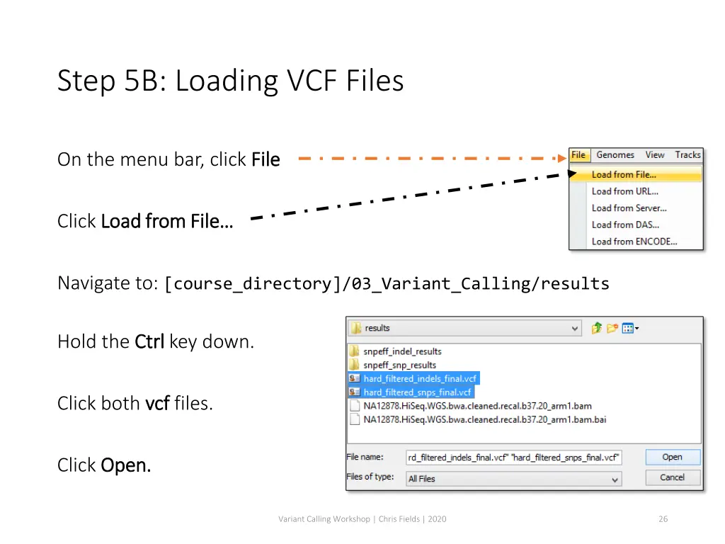 step 5b loading vcf files