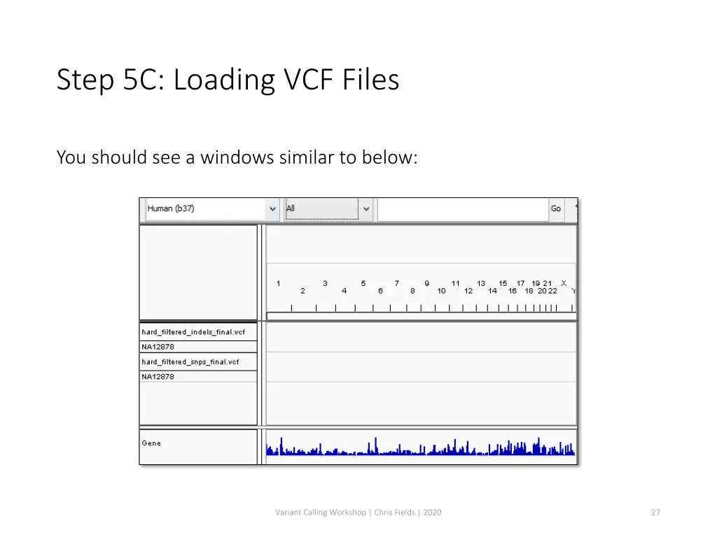 step 5c loading vcf files