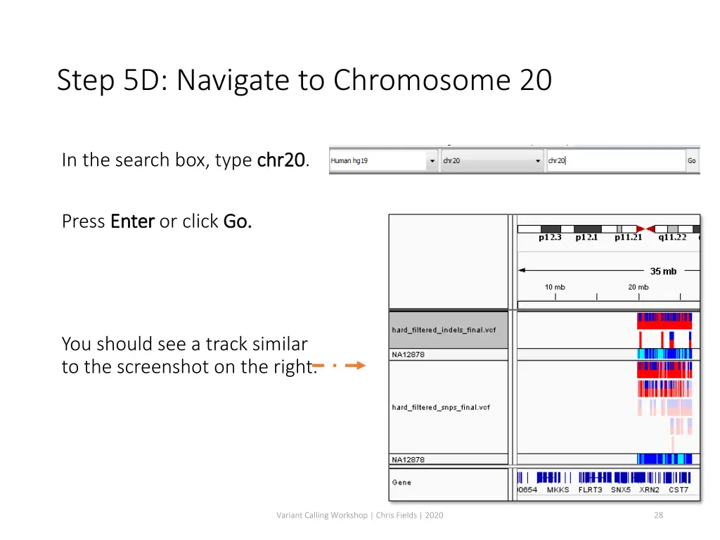 step 5d navigate to chromosome 20