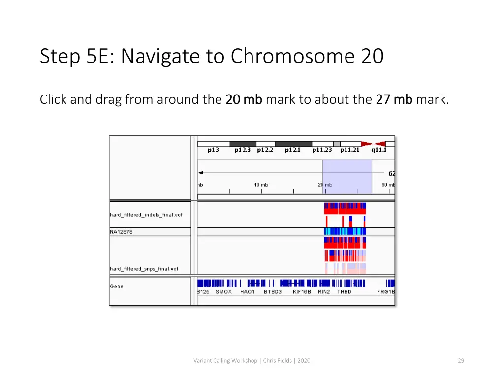 step 5e navigate to chromosome 20