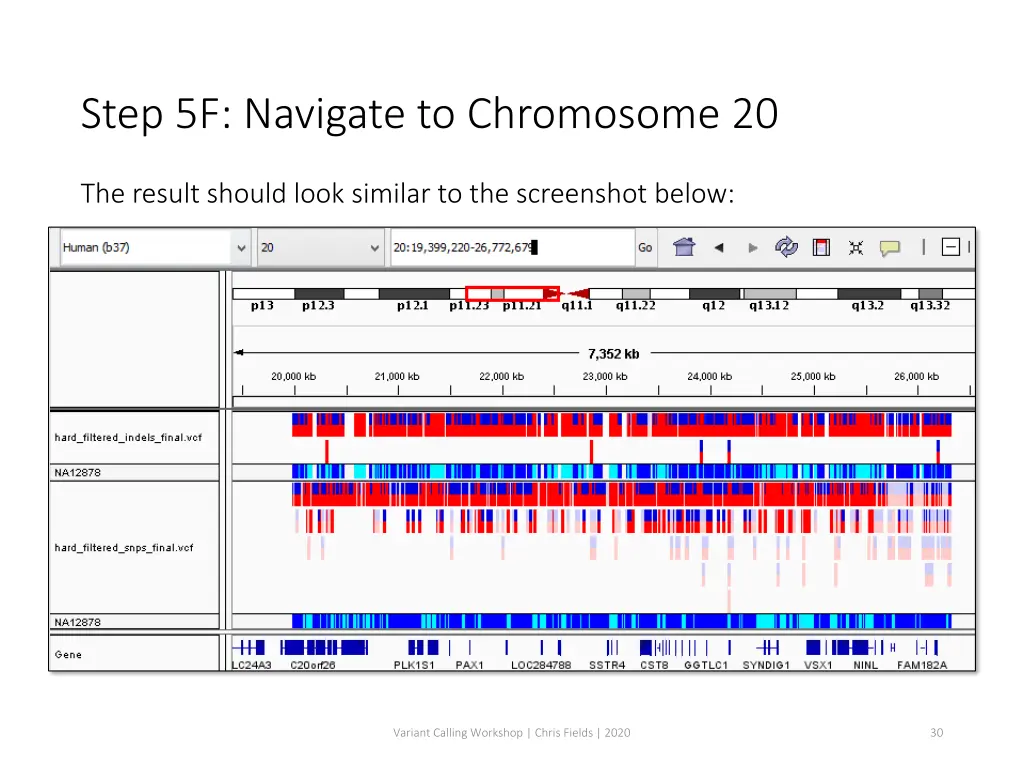step 5f navigate to chromosome 20