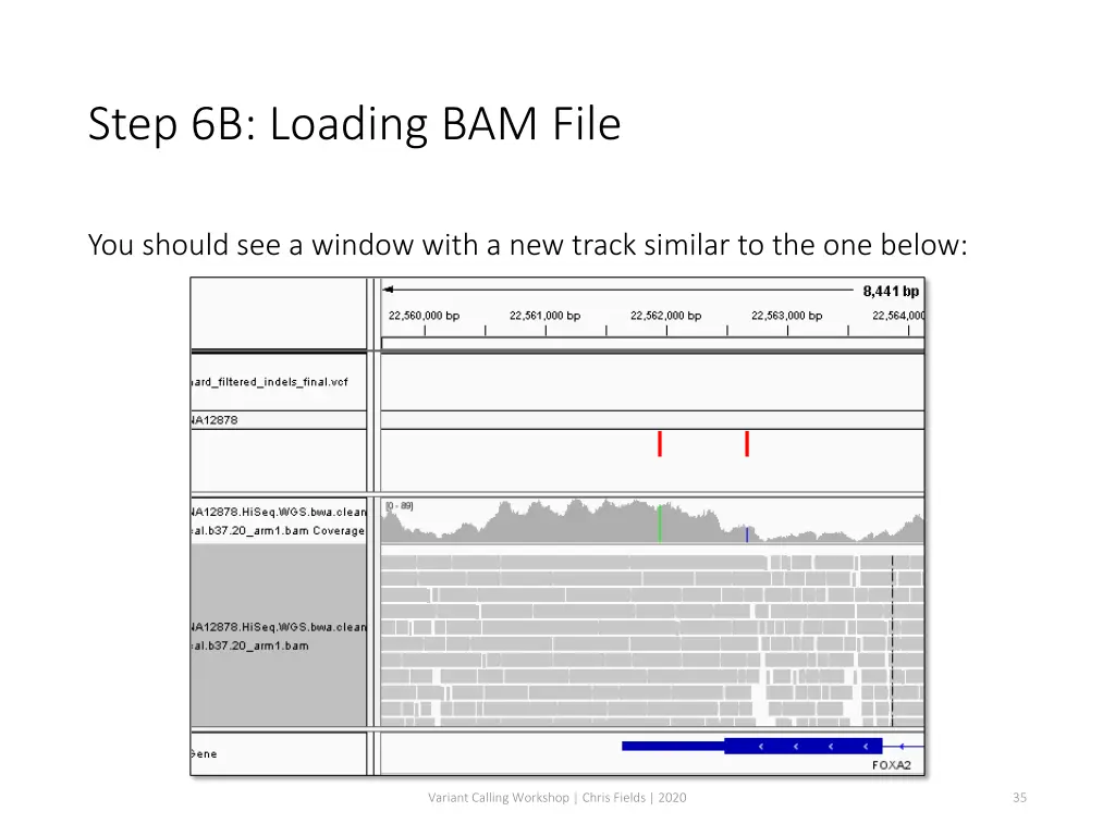step 6b loading bam file