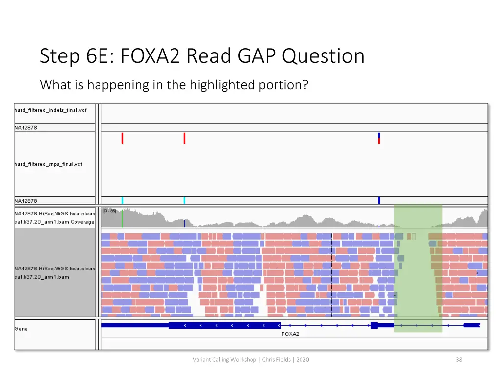 step 6e foxa2 read gap question