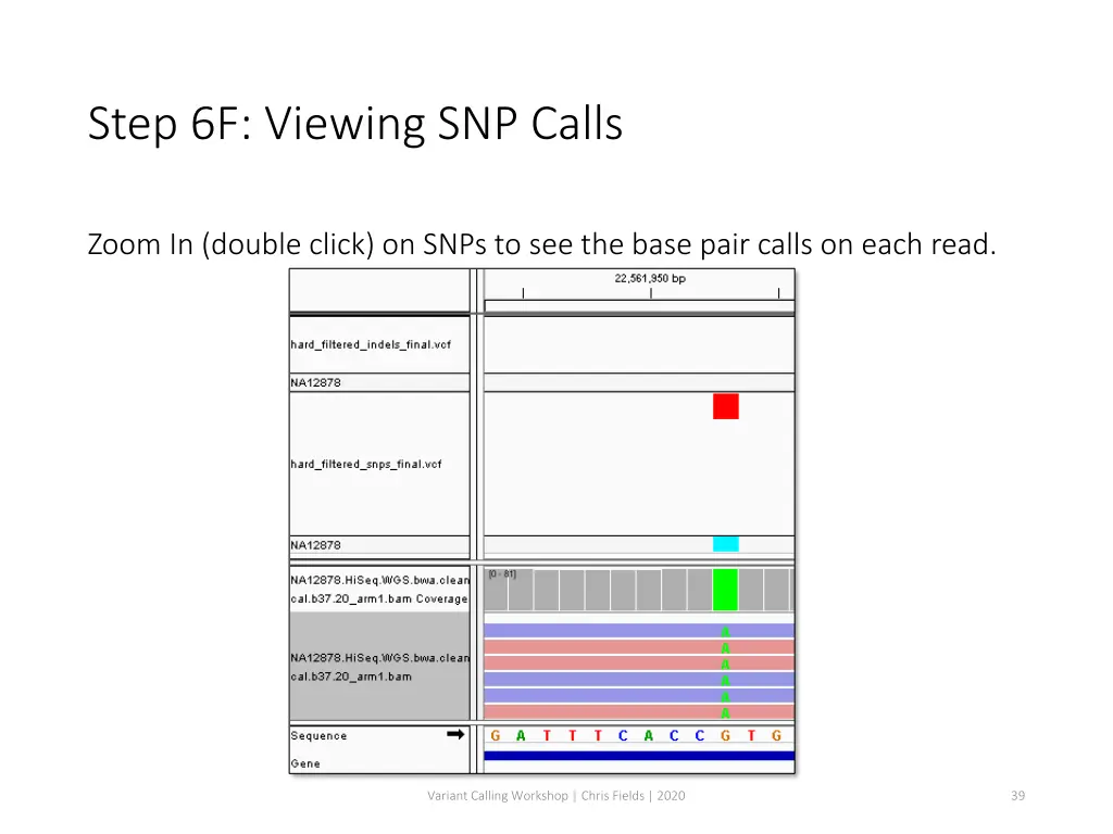 step 6f viewing snp calls