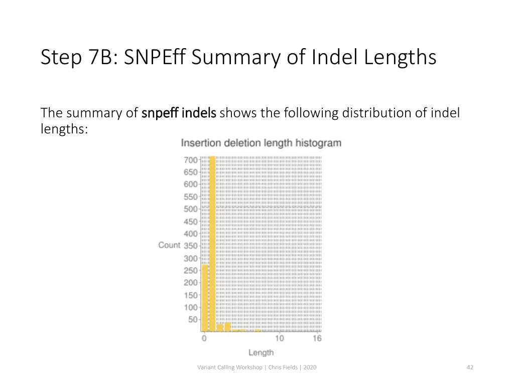 step 7b snpeff summary of indel lengths