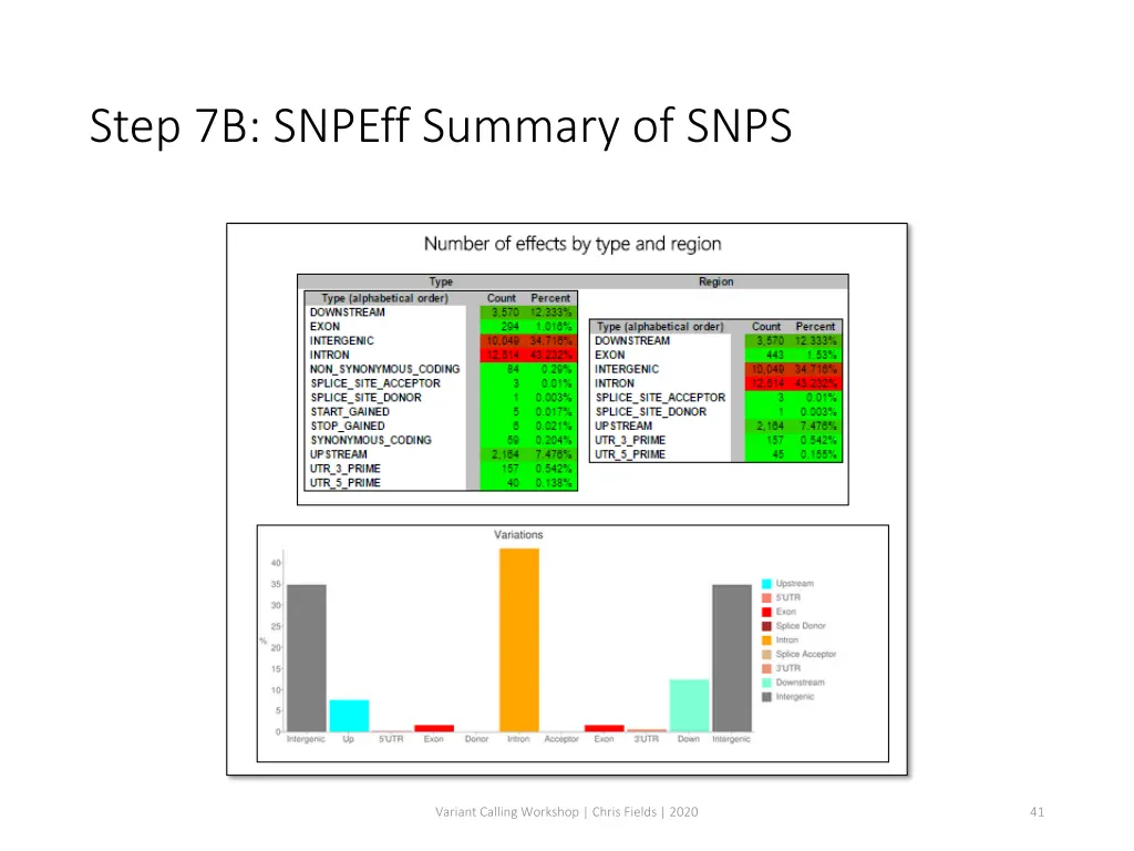 step 7b snpeff summary of snps