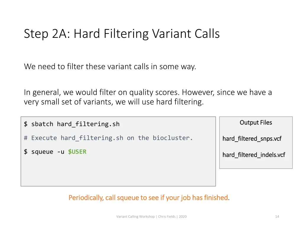 step 2a hard filtering variant calls