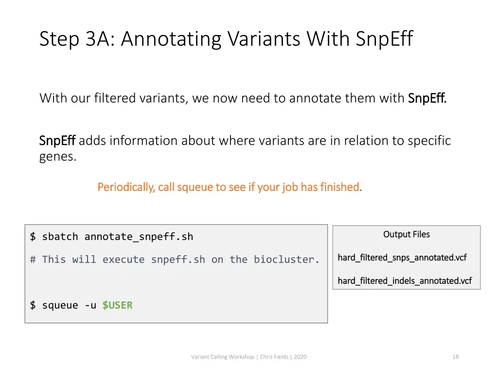 step 3a annotating variants with snpeff