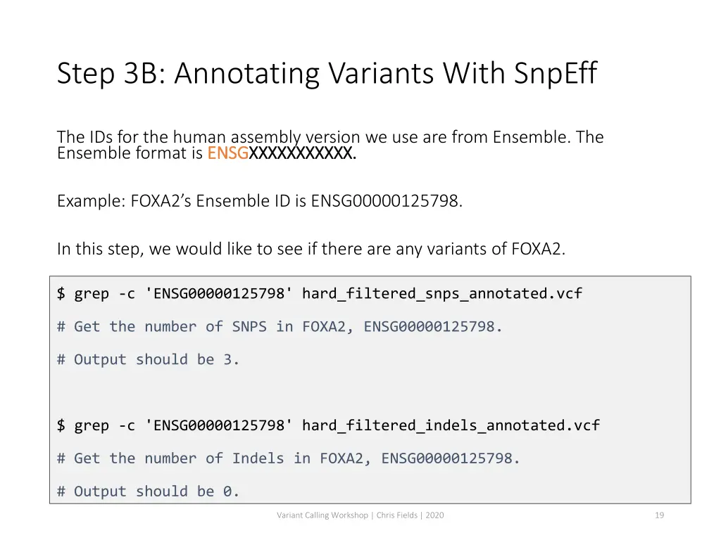 step 3b annotating variants with snpeff