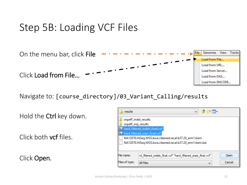 step 5b loading vcf files