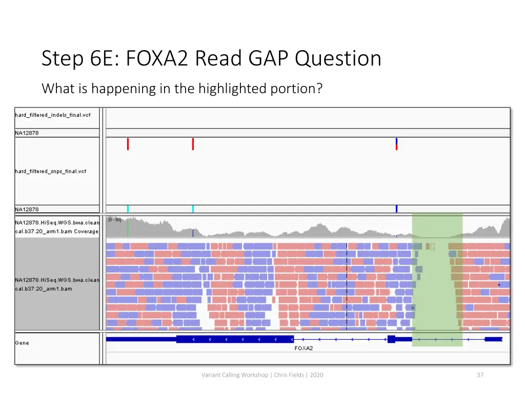 step 6e foxa2 read gap question