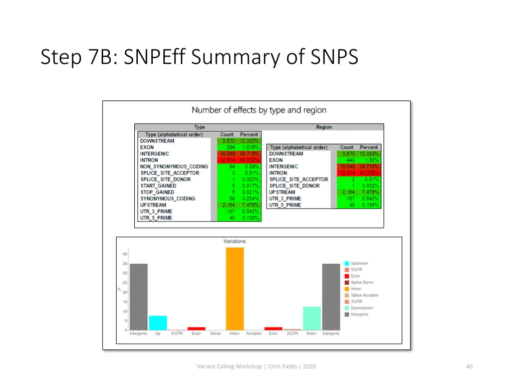 step 7b snpeff summary of snps