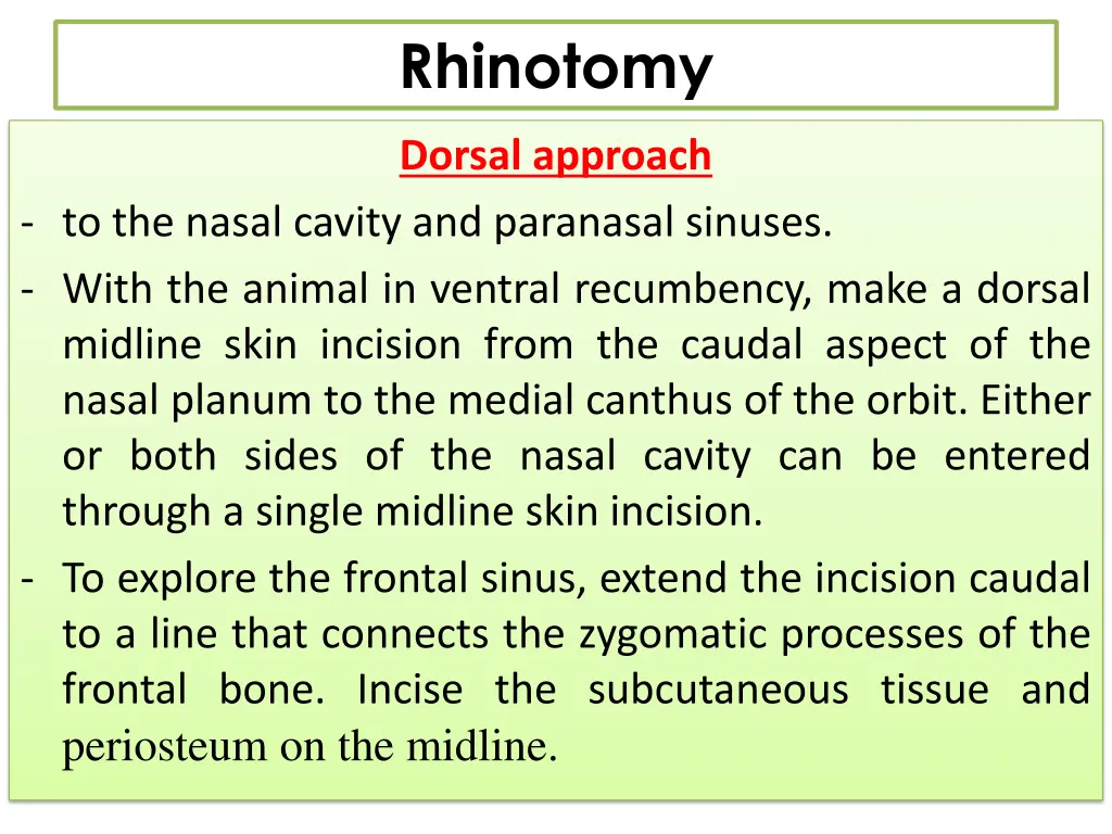 rhinotomy 1