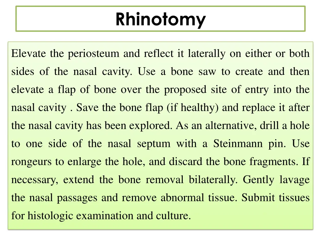 rhinotomy 2