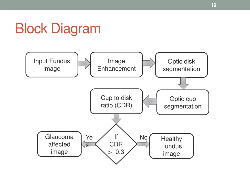 slide19
