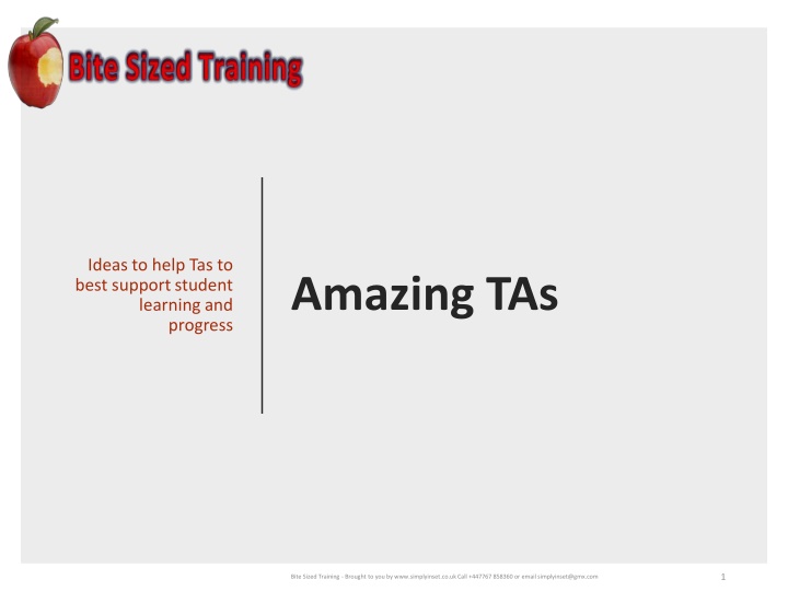 ideas to help tas to best support student