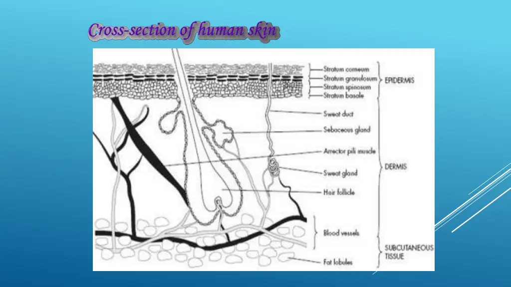 slide2