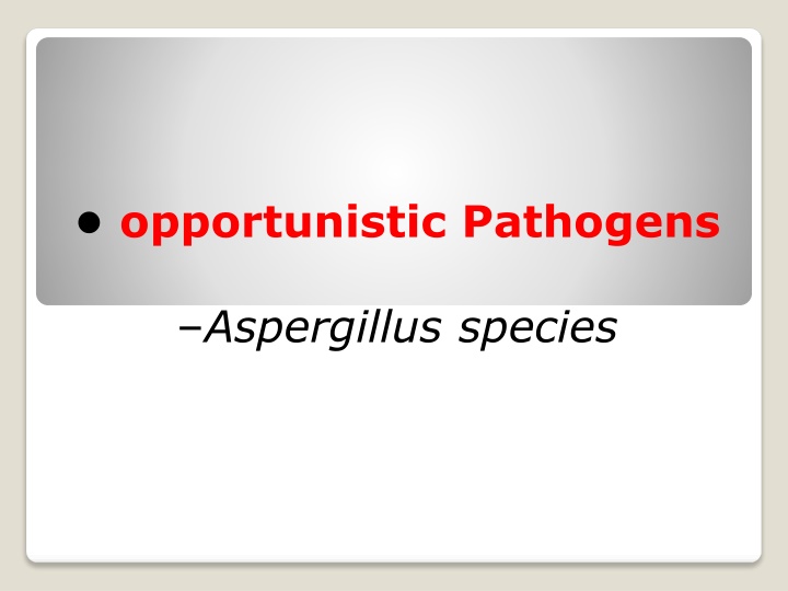 opportunistic pathogens