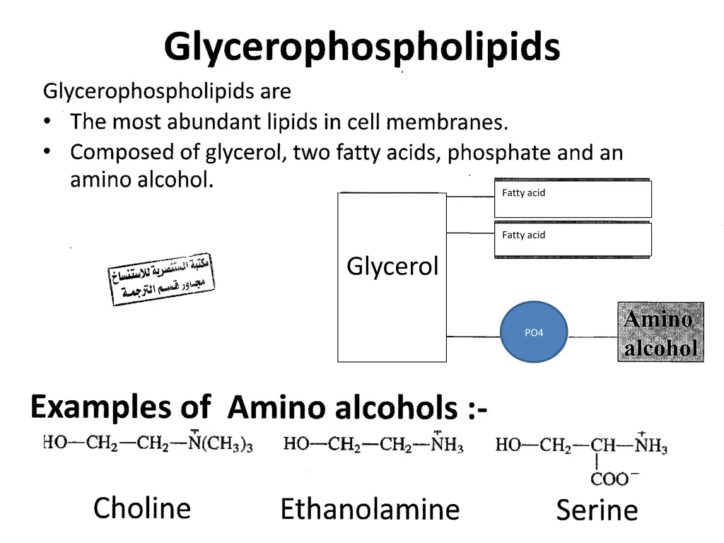 fatty acid