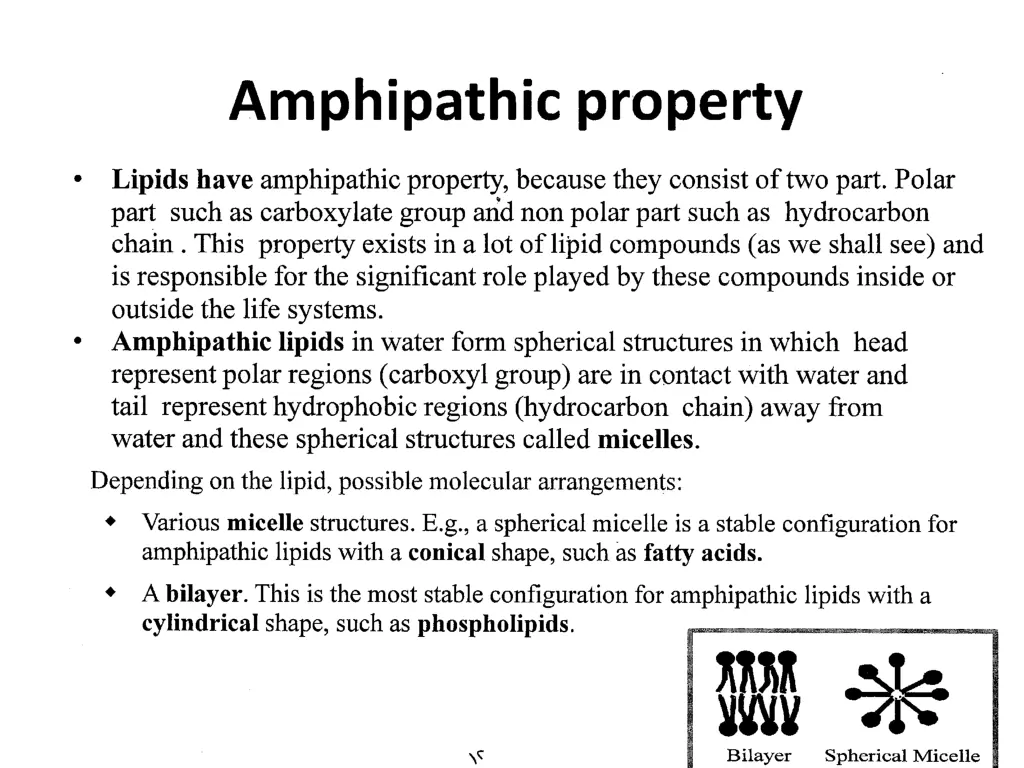 slide12
