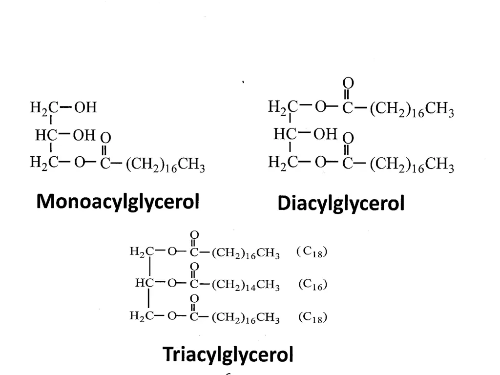 slide15