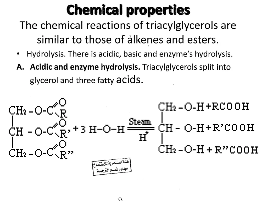 slide17