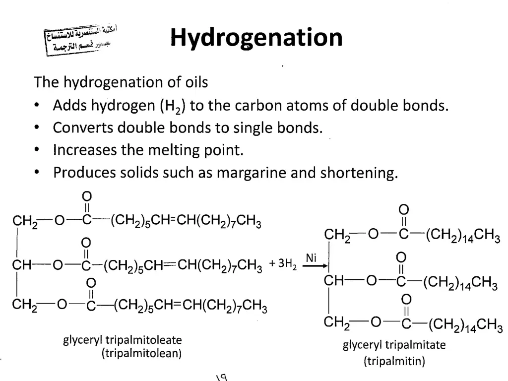 slide19