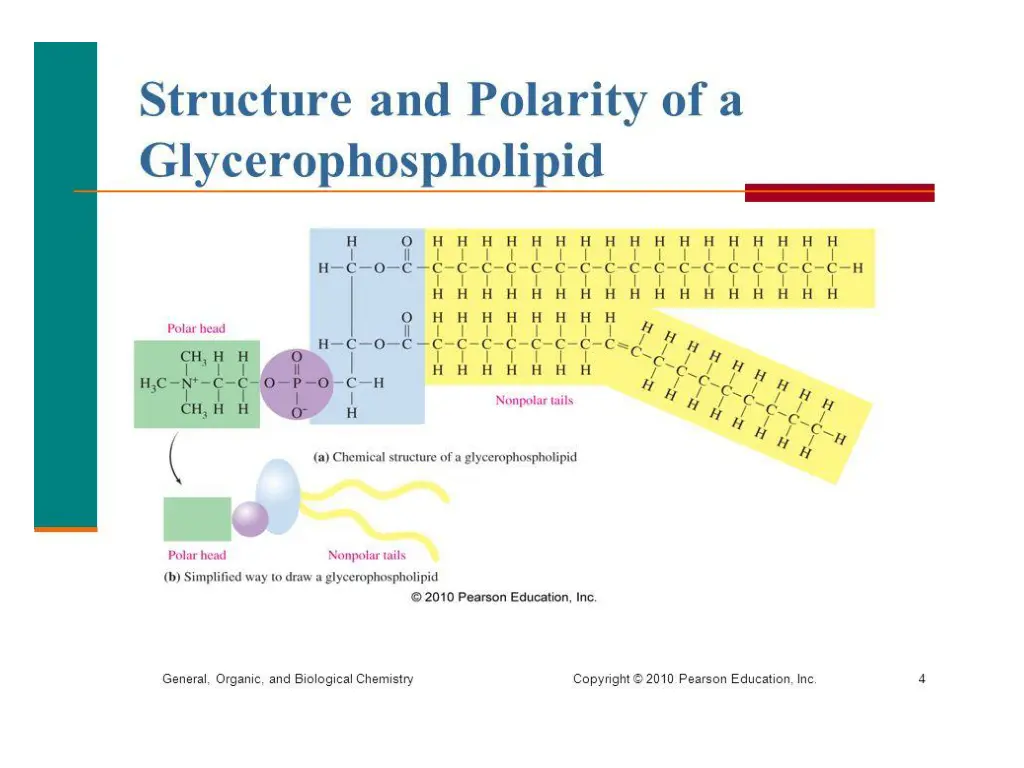 slide23