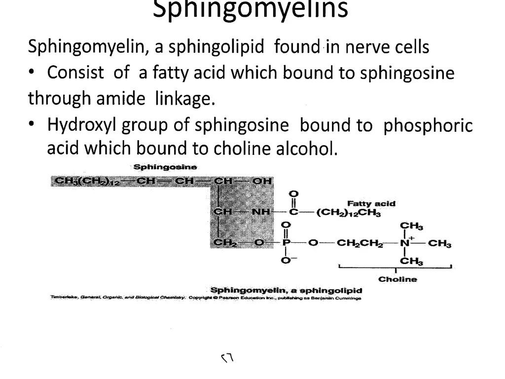 slide27