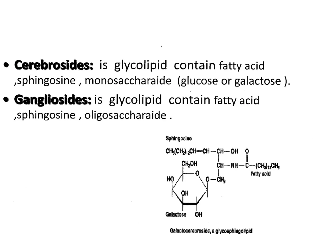 slide29